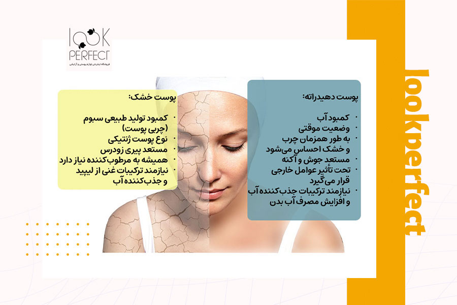 تفاوت‌های کلیدی بین پوست خشک و پوست دهیدراته به‌صورت لیست شده روی صورت یک زن با طراحی دو نیمه متضاد