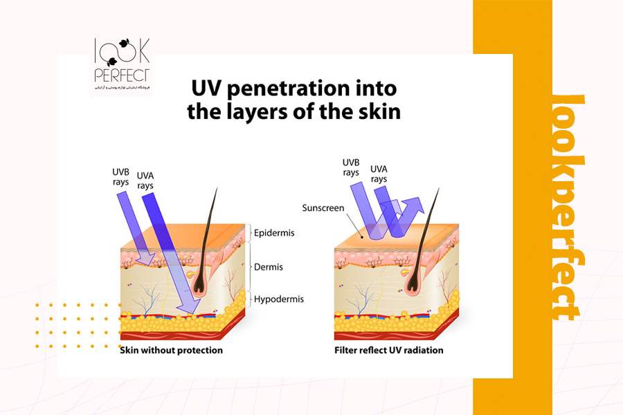 تصویر شماتیک نفوذ اشعه‌های UVB و UVA به لایه‌های پوست در حالت محافظت‌شده و بدون محافظ