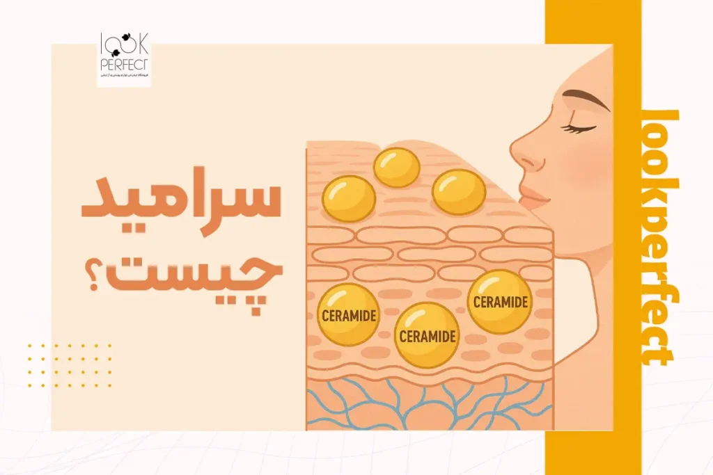 سرامید چیست؟