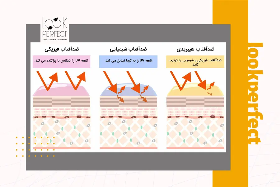 مقایسه عملکرد ضد آفتاب فیزیکی و شیمیایی و هیبریدی روی لایه های پوست