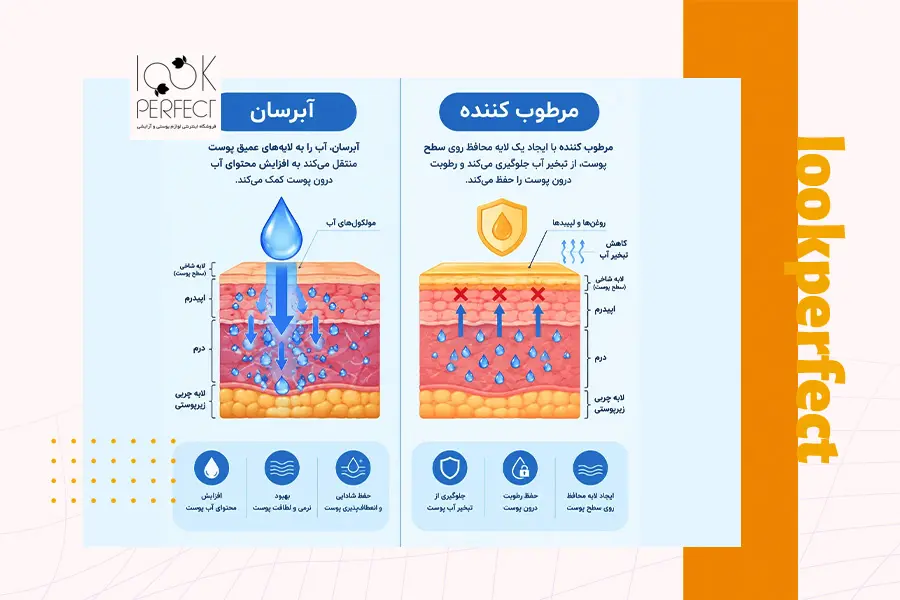 اینفوگرافیک تفاوت اثر محصولات آبرسان و مرطوب کننده در لایه های پوست