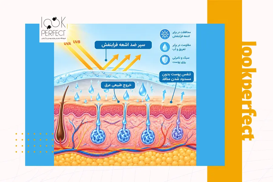 دیاگرام لایه پوست و نحوه محافظت ضد آفتاب ورزشی در برابر پرتوهای یو وی ای و یو وی بی